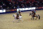 Quadrille - 00167